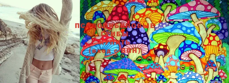 Псилоцибиновые грибы Psilocybe  нарко площадка официальный сайт  Ельня 